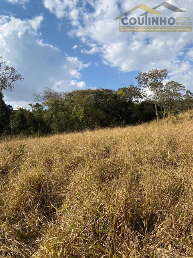 WhatsApp Image 2025-09-01 at 10.17.07.jpeg